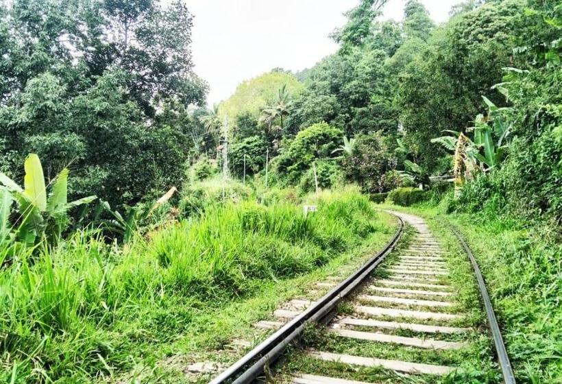 Aamiaismajoitus (B&B) Saddle Cottage