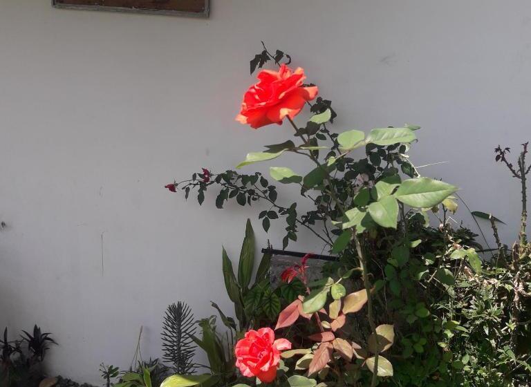 Aamiaismajoitus (B&B) Saddle Cottage