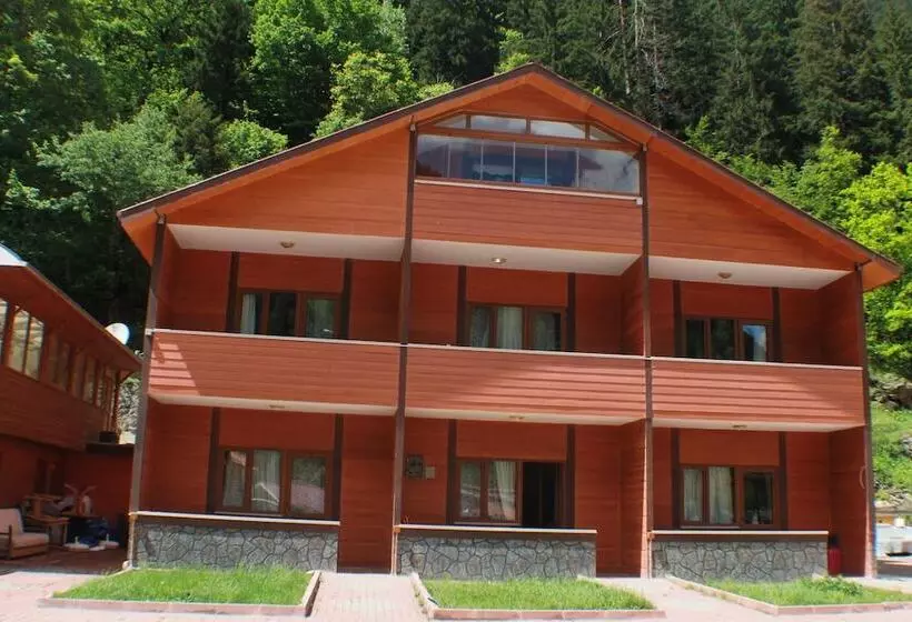 Gol Otel