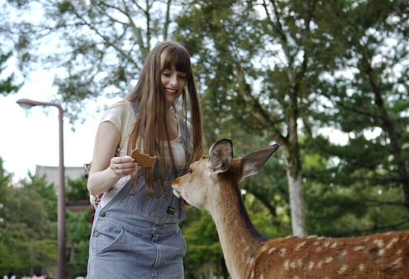 Centurion Hotel Classic Nara Station