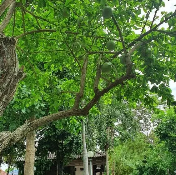 هتل Ruenpurksa Resort