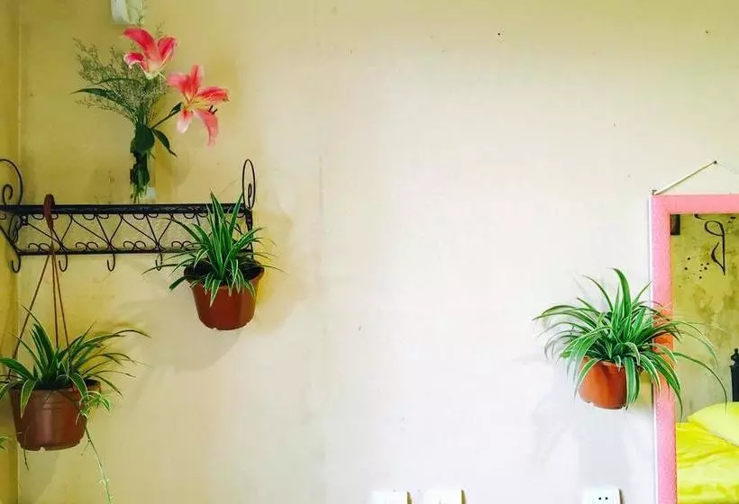 Yiheyuan Hostel