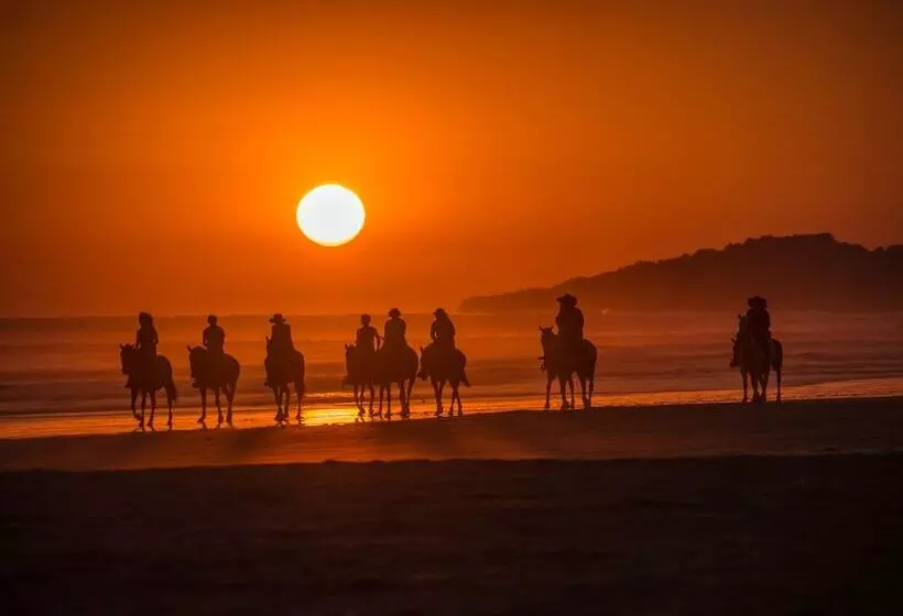 Sunset Del Mar Beach Resort