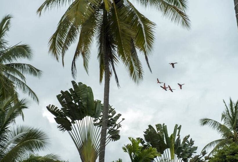 Sunset Del Mar Beach Resort