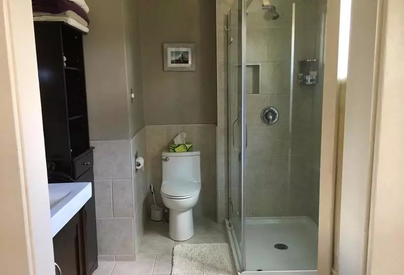 The Stella Rose B&b