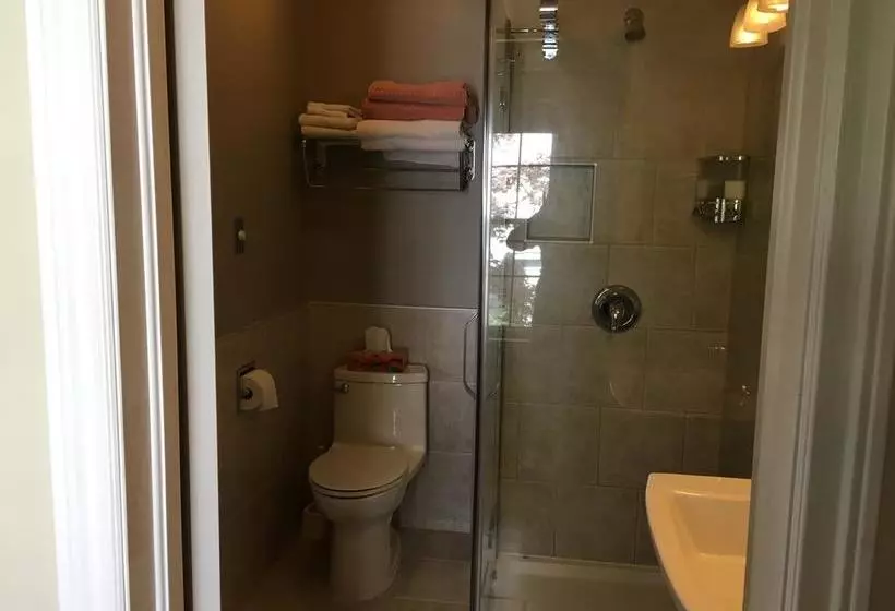 The Stella Rose B&b