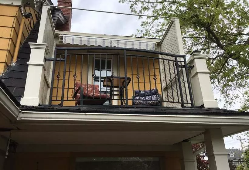 The Stella Rose B&b