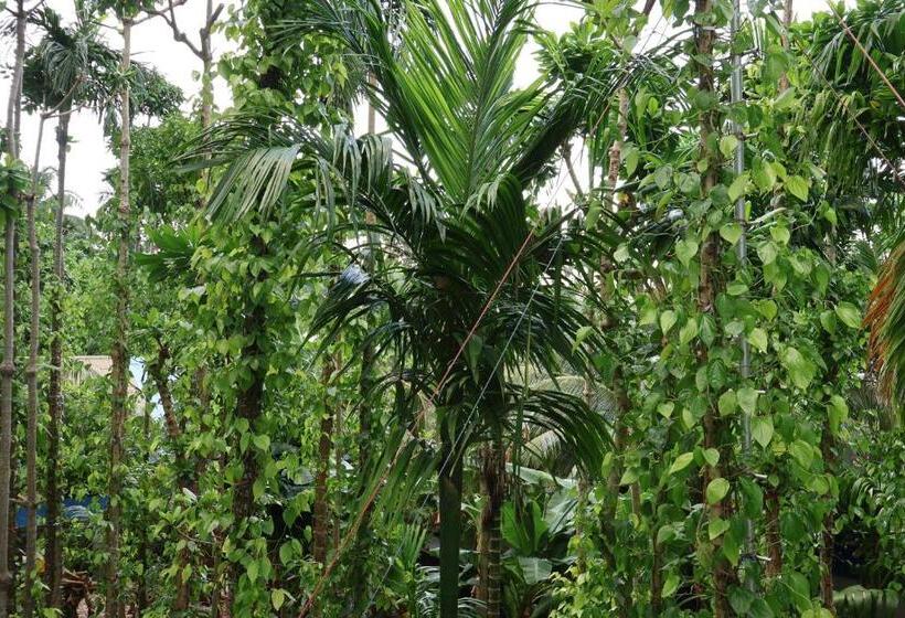 پانسیون Shams Thoddoo