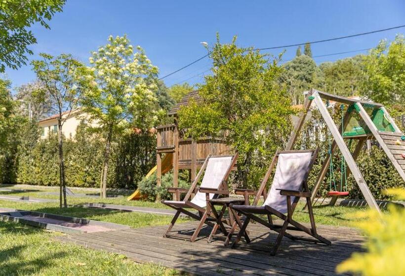 تختخواب و صبحانه Vale De São Torcato Hotel Rural