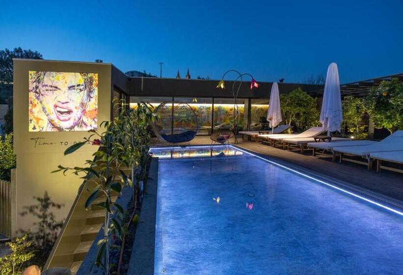 تختخواب و صبحانه Vale De São Torcato Hotel Rural