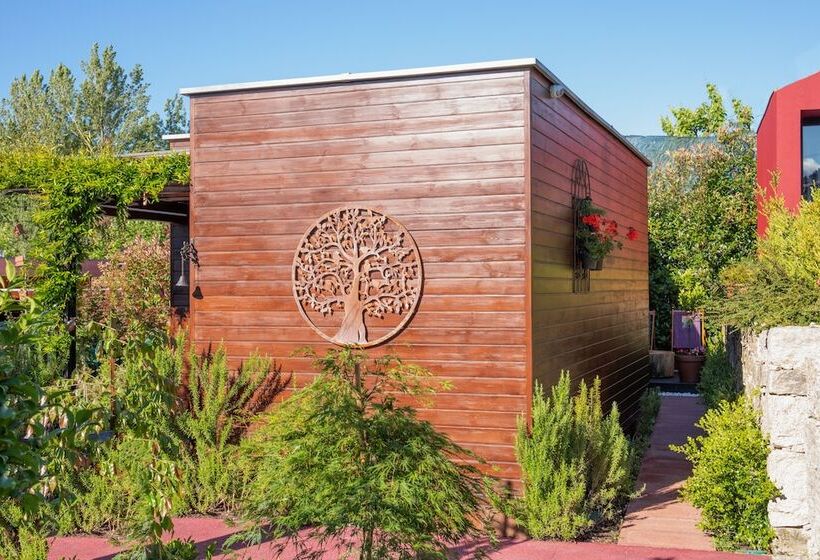 Bed and Breakfast Vale De São Torcato Hotel Rural