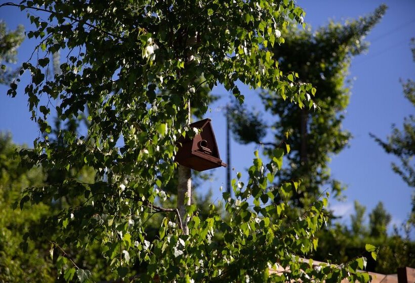 تختخواب و صبحانه Vale De São Torcato Hotel Rural