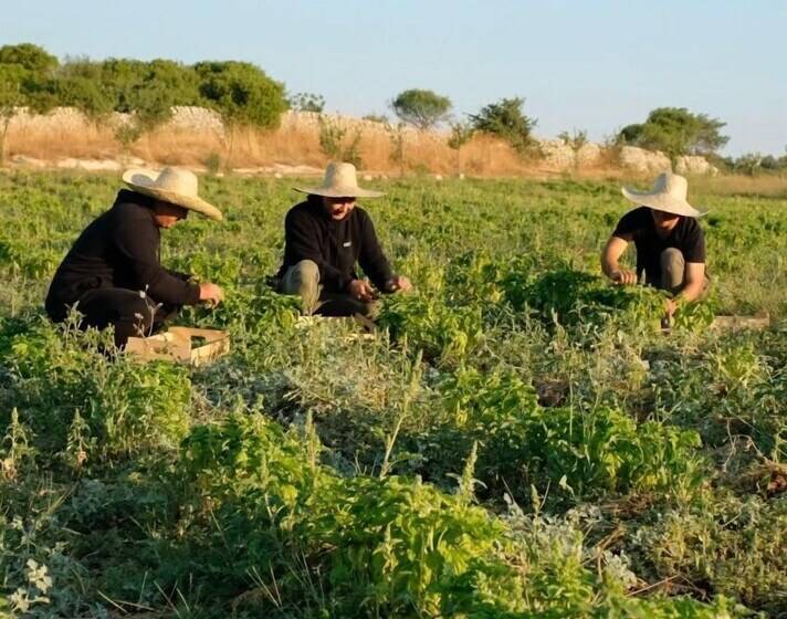 בית מלון כפרי Dimora Delle Balze