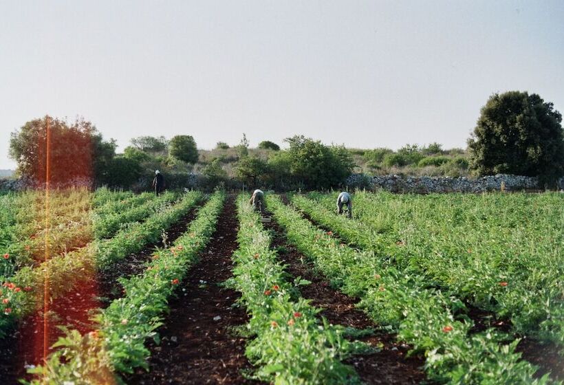בית מלון כפרי Dimora Delle Balze