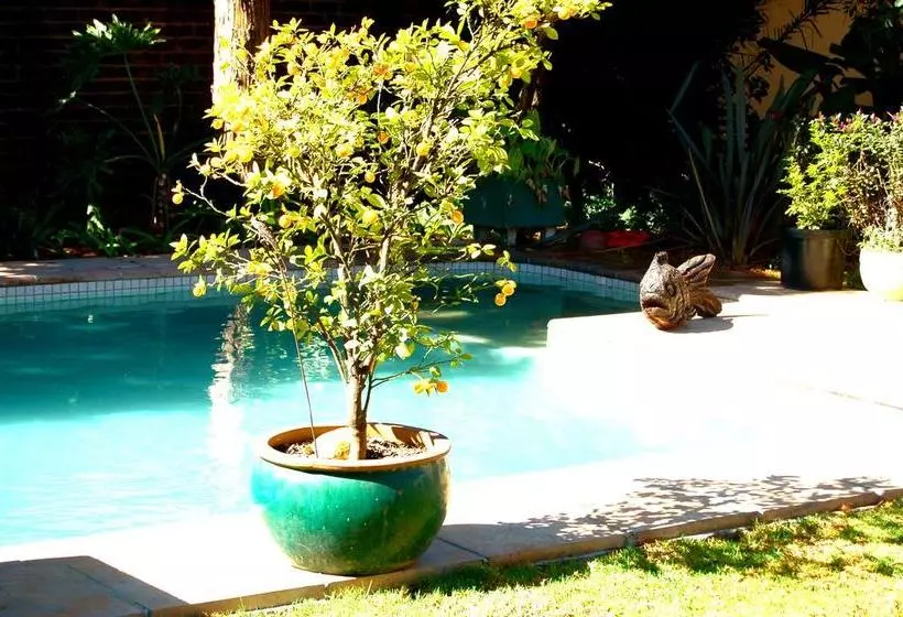 Willows B&b