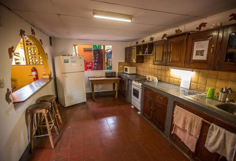 هاستل Hostal La Tortuga Booluda