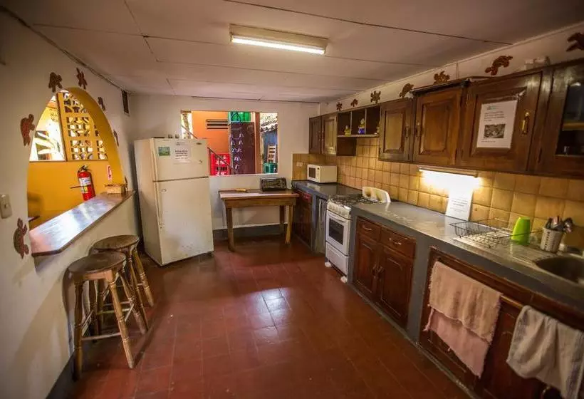 هاستل Hostal La Tortuga Booluda