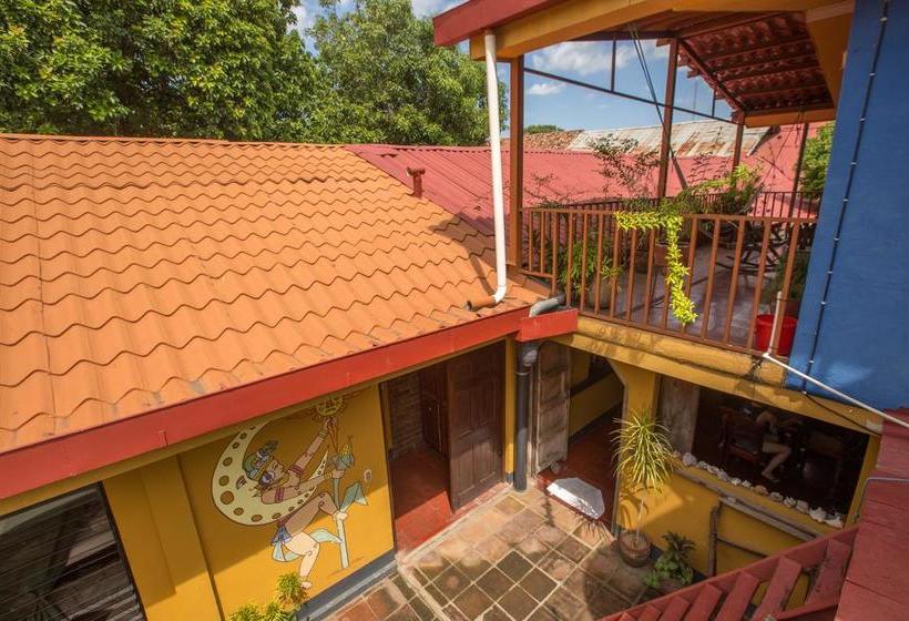 هاستل Hostal La Tortuga Booluda