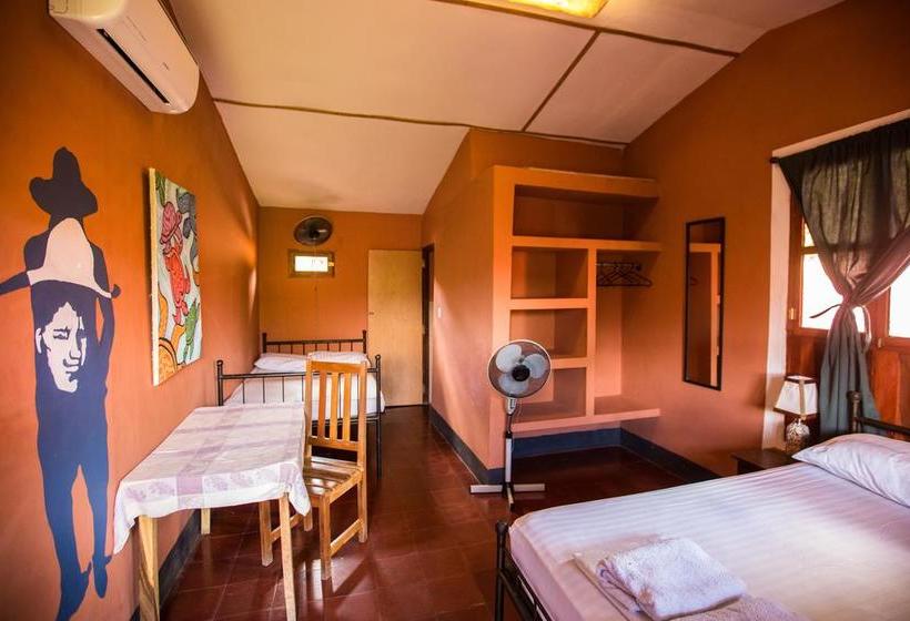 هاستل Hostal La Tortuga Booluda