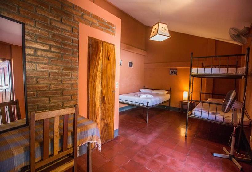 هاستل Hostal La Tortuga Booluda