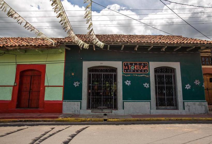 هاستل Hostal La Tortuga Booluda
