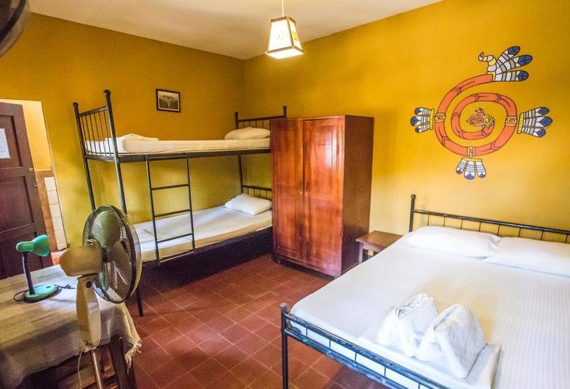 هاستل Hostal La Tortuga Booluda