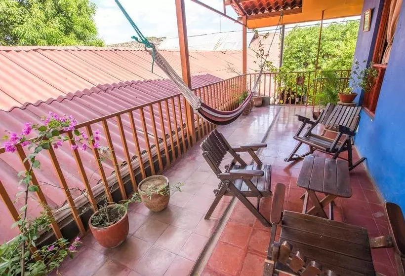 هاستل Hostal La Tortuga Booluda