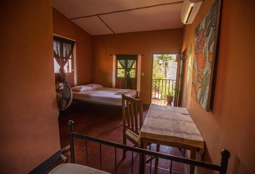 هاستل Hostal La Tortuga Booluda