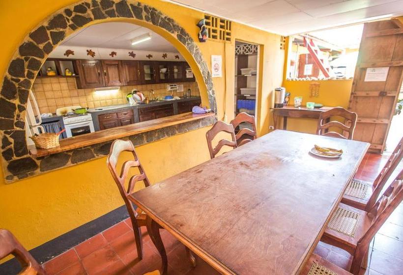 هاستل Hostal La Tortuga Booluda