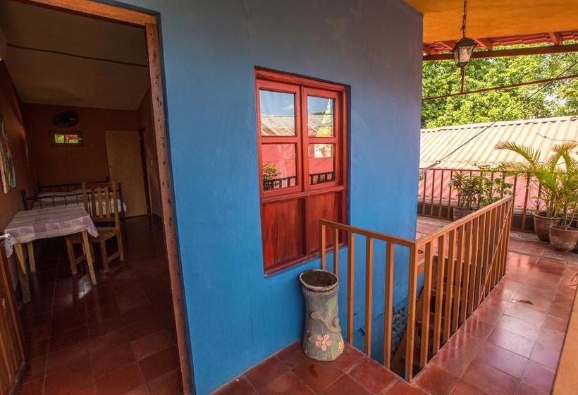 هاستل Hostal La Tortuga Booluda