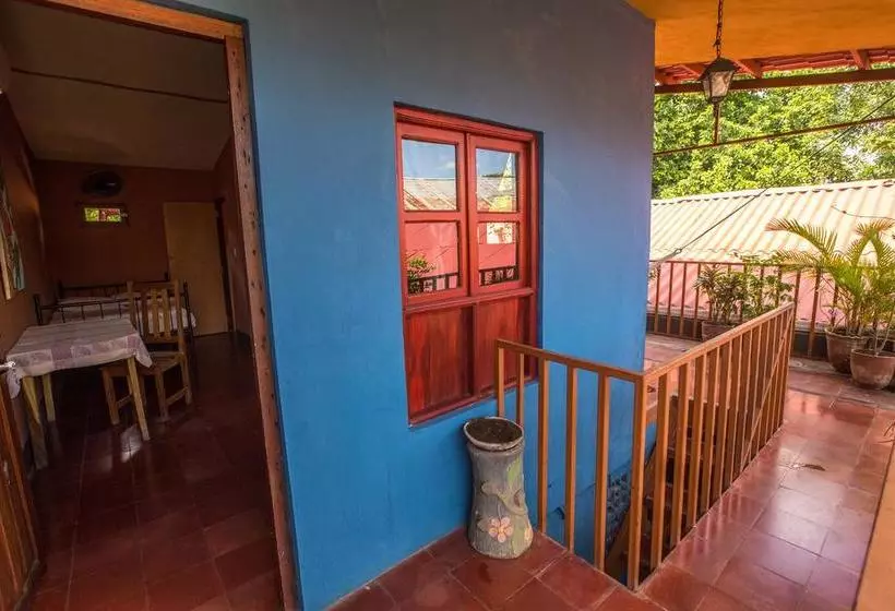 هاستل Hostal La Tortuga Booluda