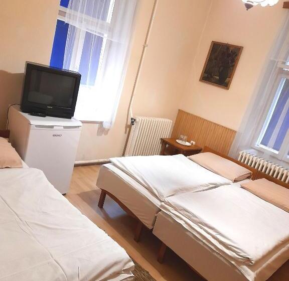 مبيت وإفطار Bendegúz Villa