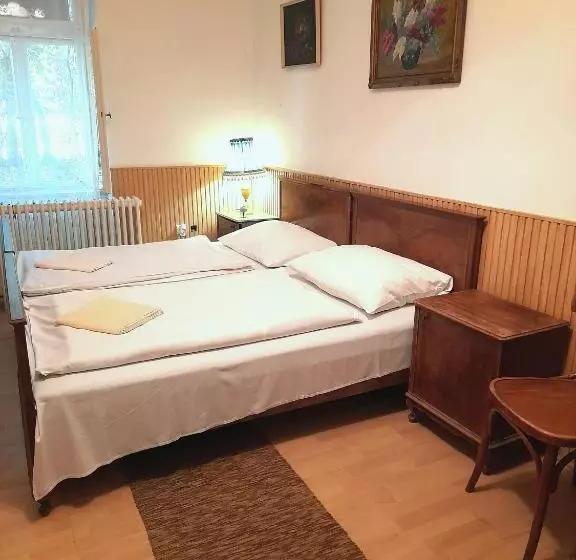 تختخواب و صبحانه Bendegúz Villa