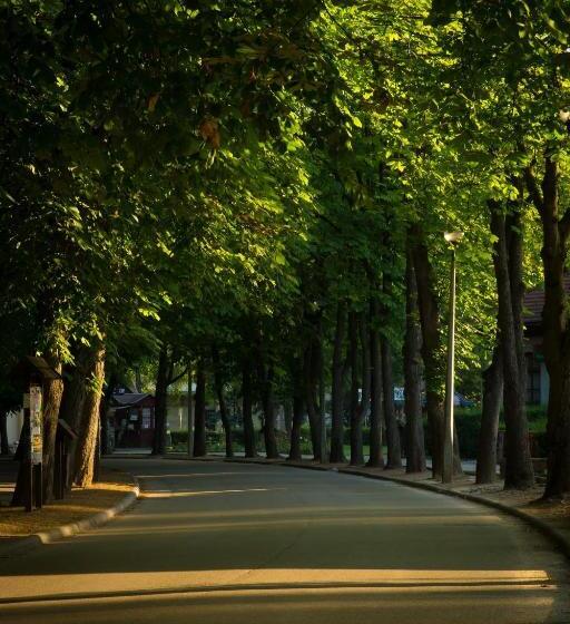 צימר Bendegúz Villa