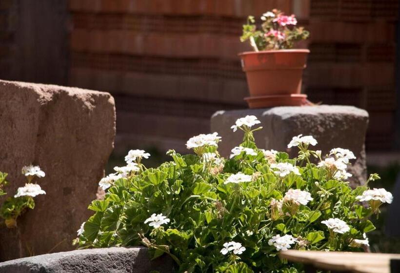 Hotel Usgar San Pedro Boutique