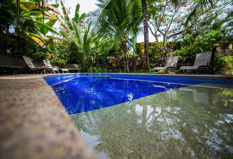 تختخواب و صبحانه Villas Oasis