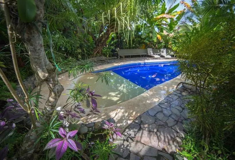 ベッドアンドブレックファースト Villas Oasis