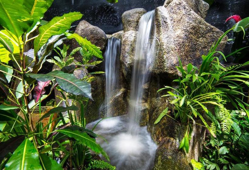 تختخواب و صبحانه Villas Oasis