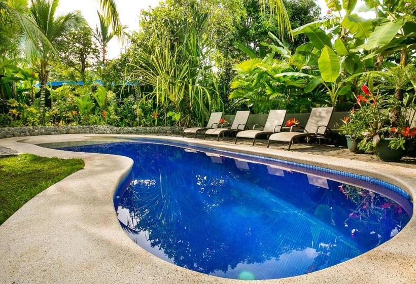 تختخواب و صبحانه Villas Oasis