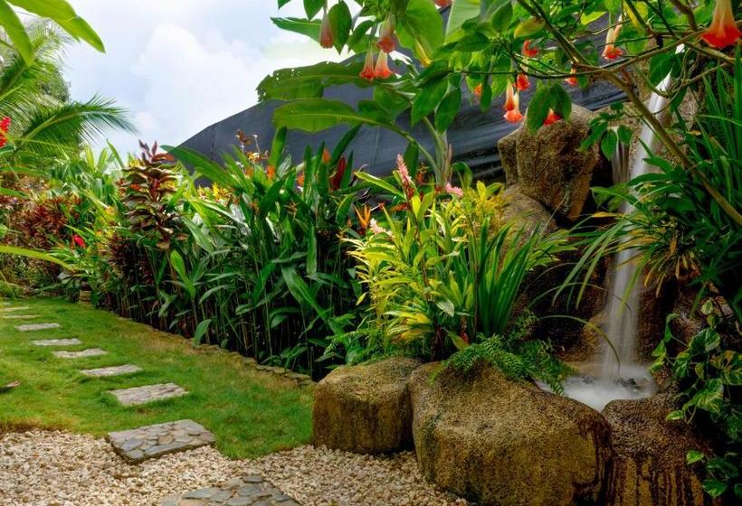 تختخواب و صبحانه Villas Oasis