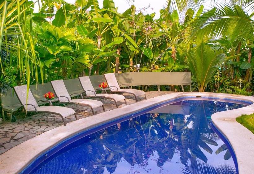 تختخواب و صبحانه Villas Oasis