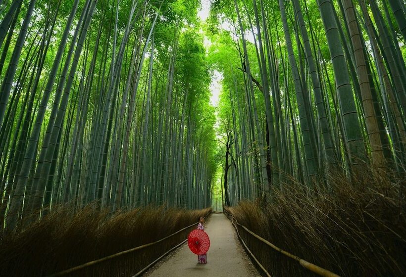 فندق Tokyu Stay Kyoto Sanjokarasuma