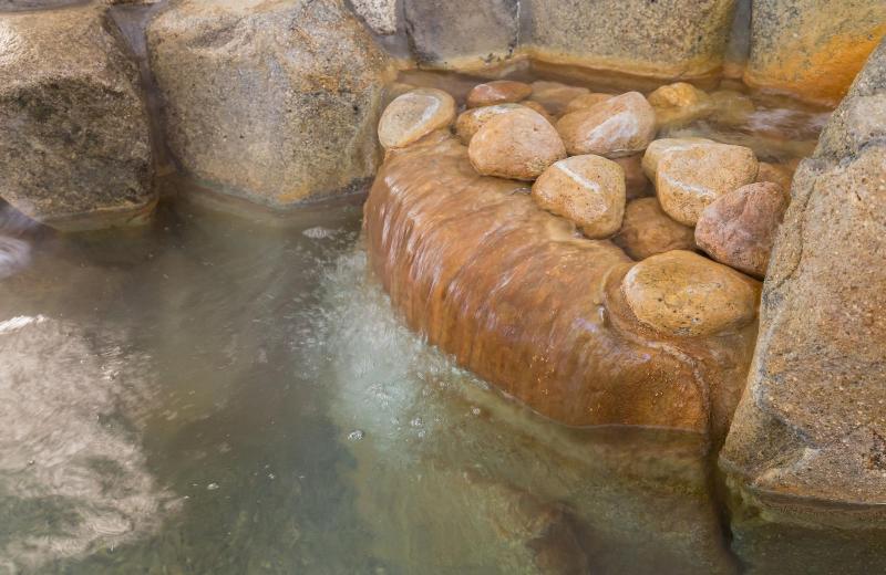 ריוקאן Hanasarasa