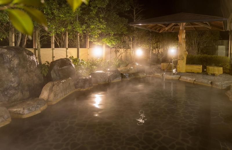 ריוקאן Hanasarasa