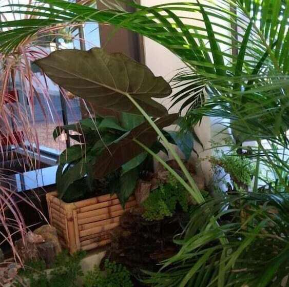 Santa Clara Hotel E Restaurante