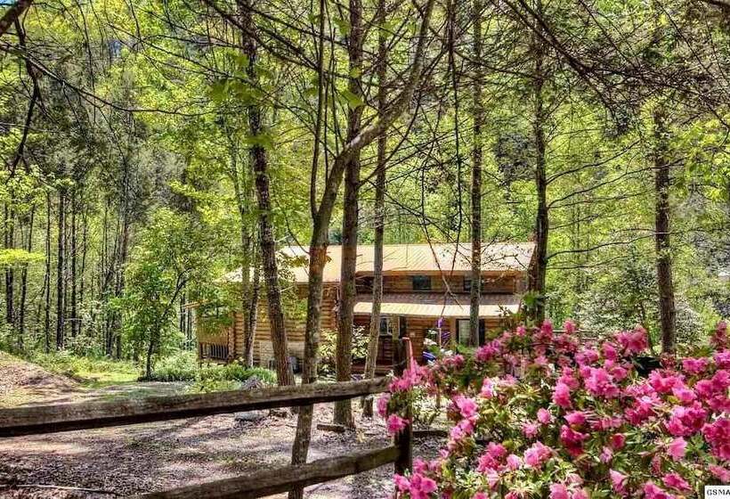 Dunn S Creek Hideaway