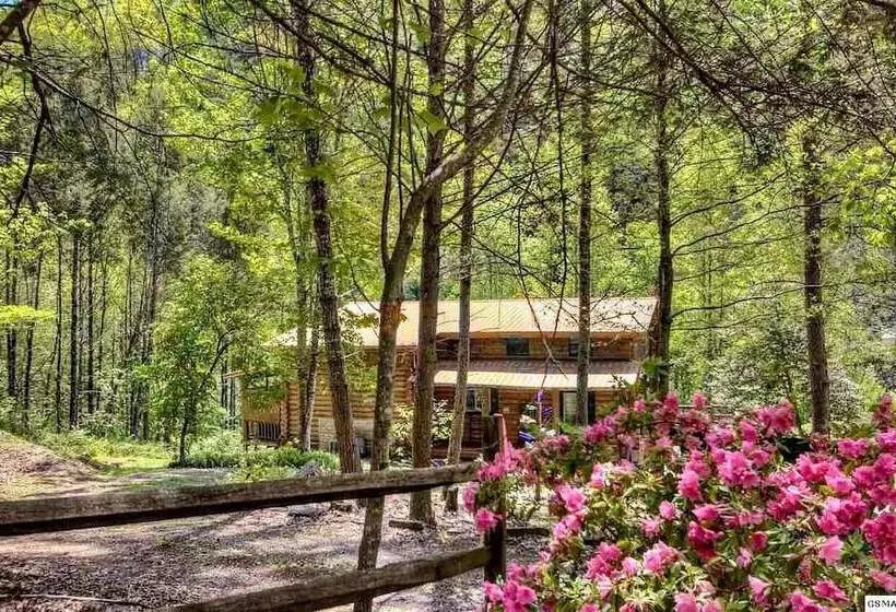 Dunn S Creek Hideaway