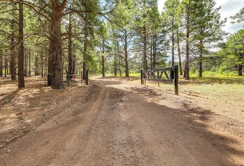 Forested Flagstaff Cabin ~ 23 Mi From Downtown