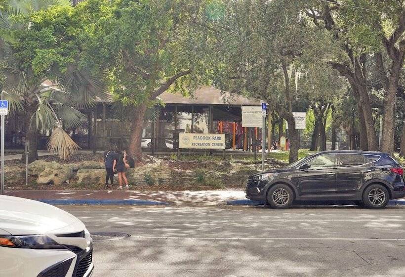 The Harmony   Ocean & Relaxation