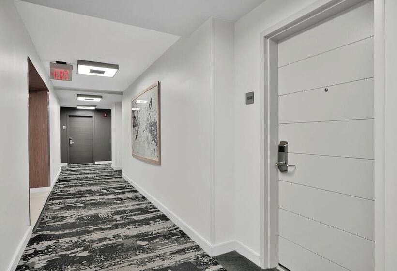 The Harmony   Ocean & Relaxation